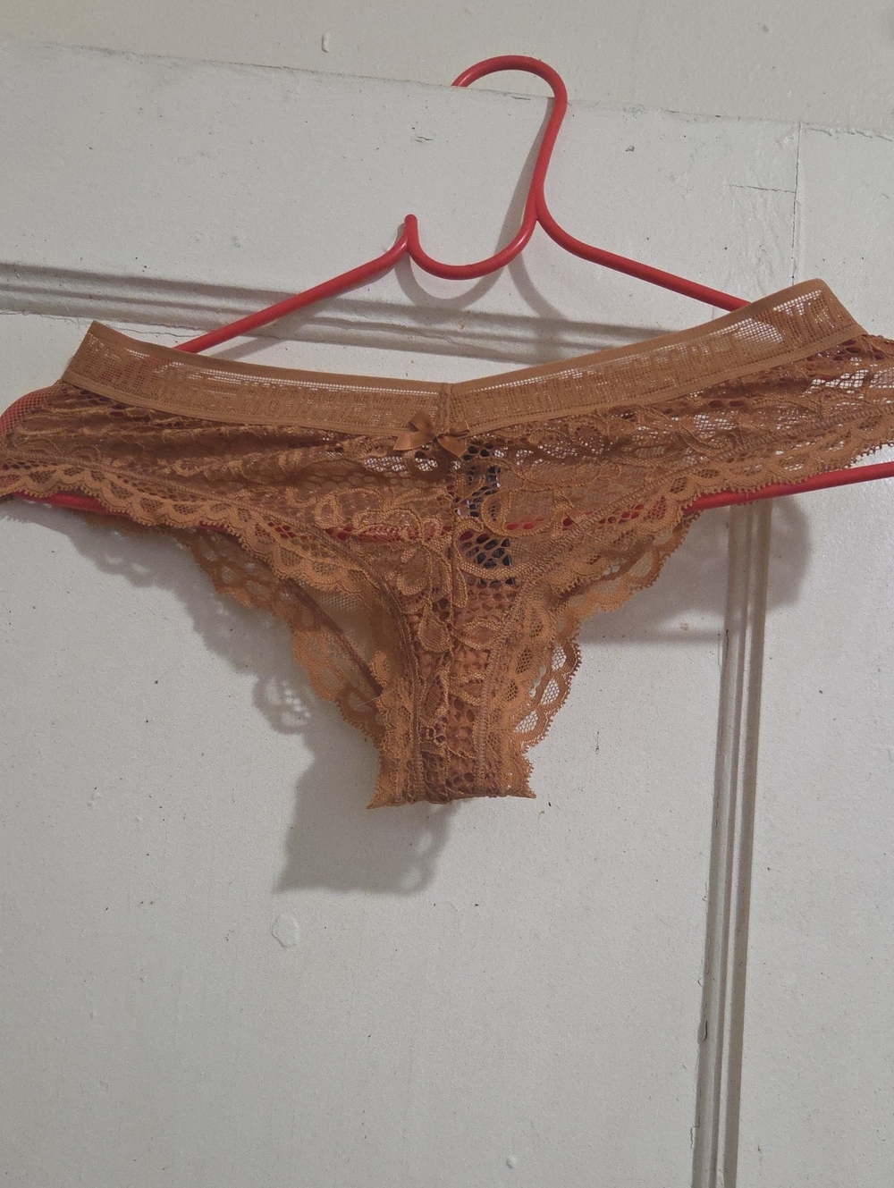 Victoria's Secret Lace Cheeky Panty in Tan Brown